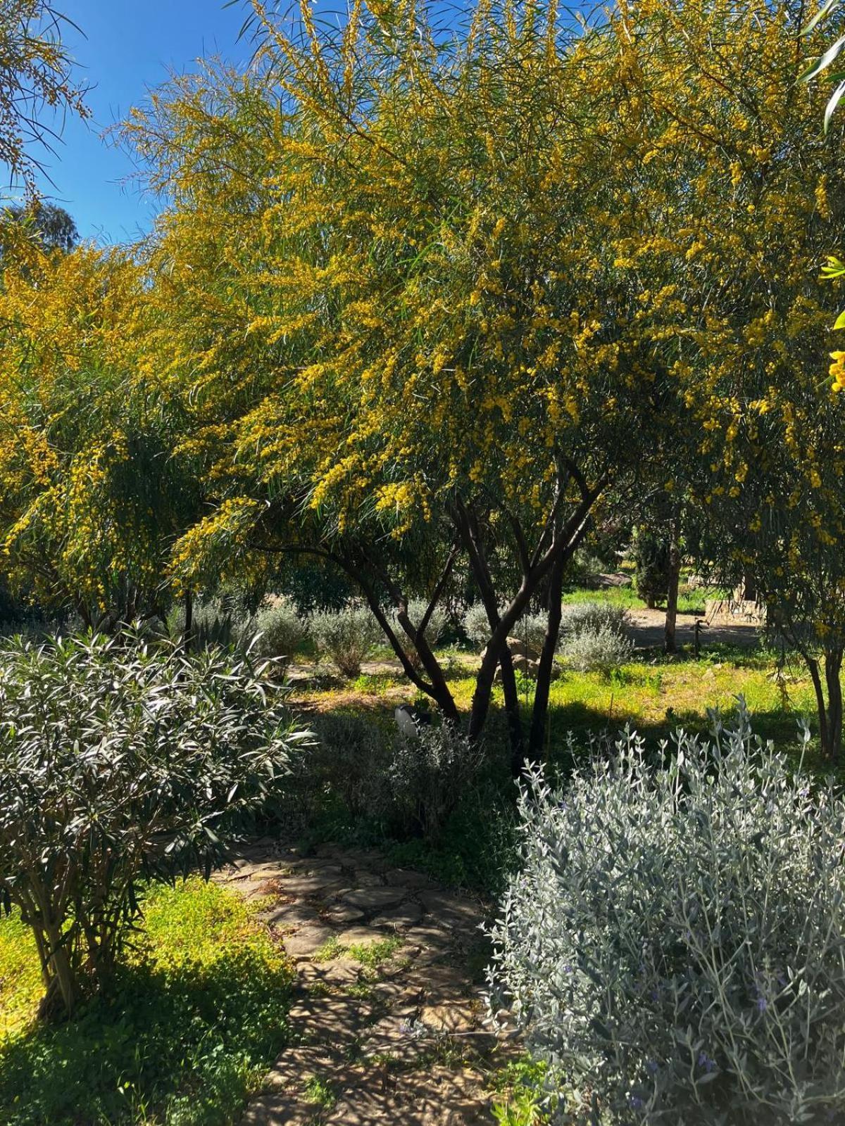 Sclafani Le Case Di Cardellino - Agrispa מראה חיצוני תמונה